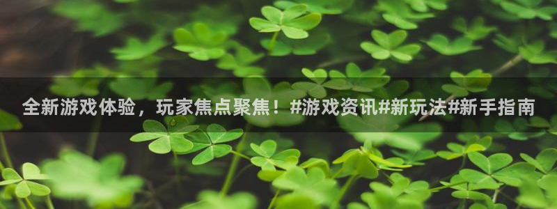 欧博娱乐平台注册：全新游戏体验，玩家焦点聚焦！#游戏资讯#新