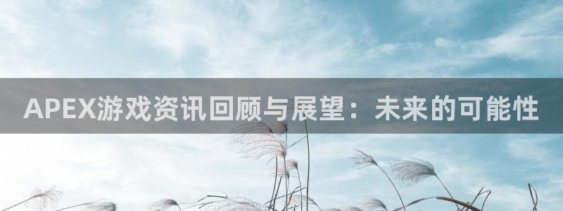 欧博娱乐平台注册：APEX游戏资讯回顾与展望：未来的可能性