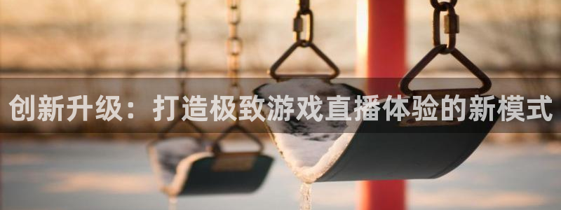 欧博娱乐测速登陆：创新升级：打造极致游戏直播体验的新模式