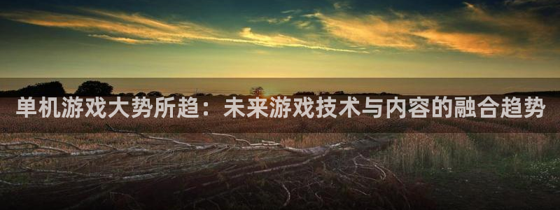 欧博娱乐网页登录入口下载：单机游戏大势所趋：未来游戏技术与内