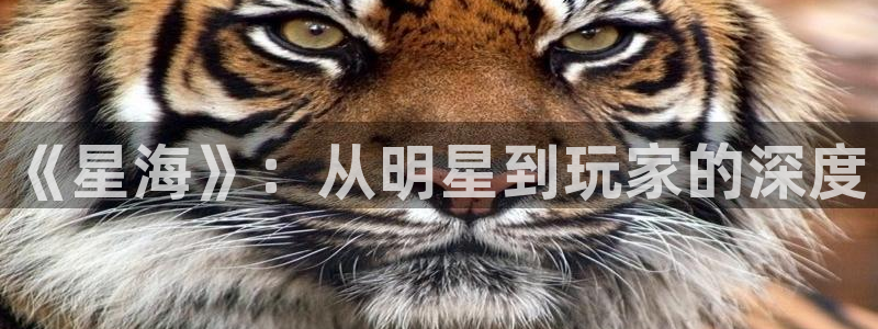 欧博娱乐平台注册：《星海》：从明星到玩家的深度