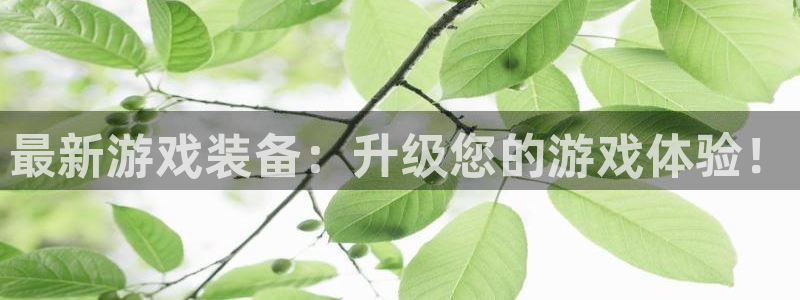 欧博娱乐官网：最新游戏装备：升级您的游戏体验！