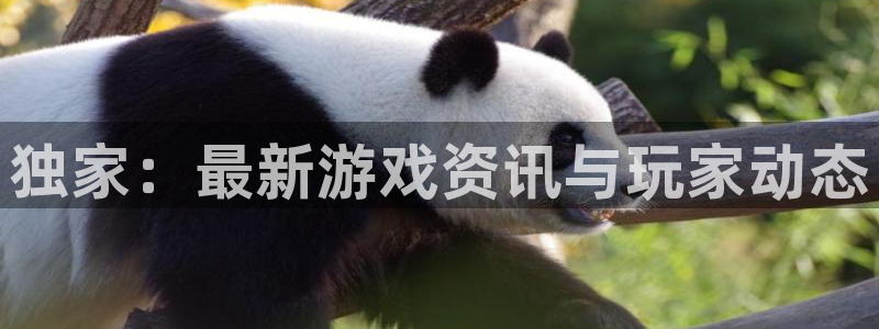 手机欧博娱乐下载安装：独家：最新游戏资讯与玩家动态